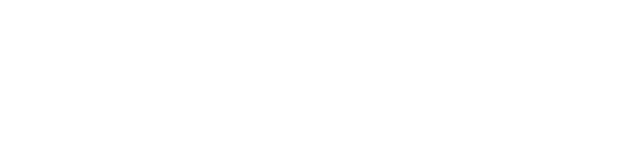 Spedition Kubisch GmbH & Co.KG